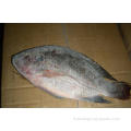 Fish de tilapia noir rond entier 300-500G